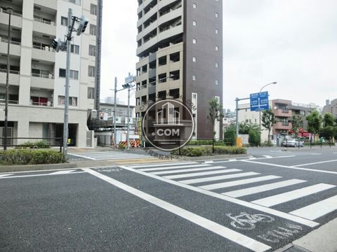 大通り