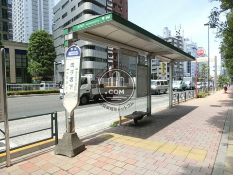 大通り