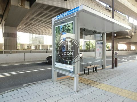 大通り