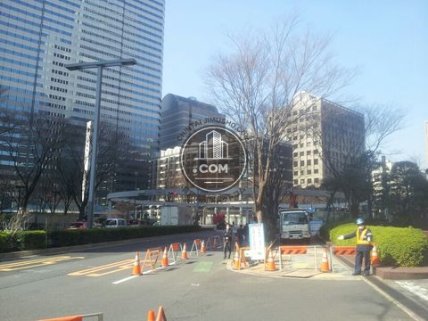 大通り