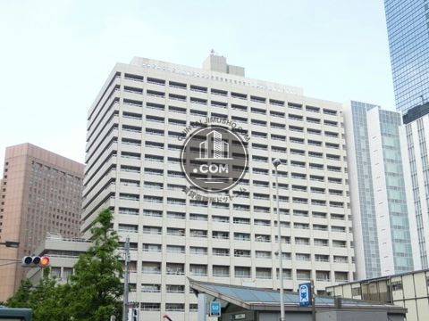 大通り
