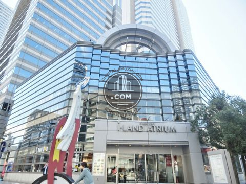 大通り