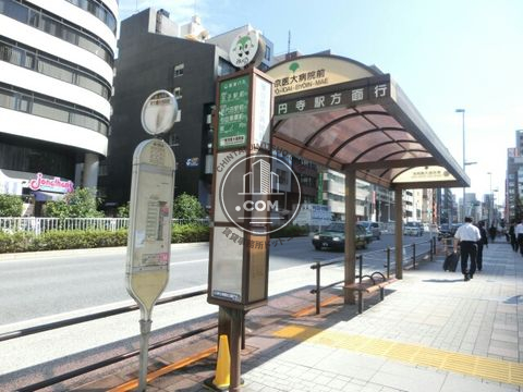 大通り