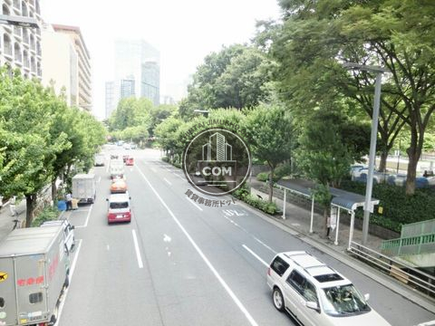 大通り