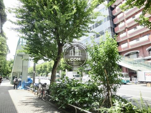 大通り