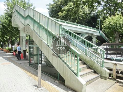 大通り