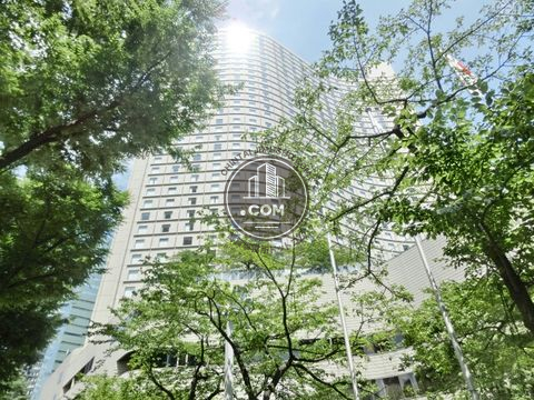 大通り