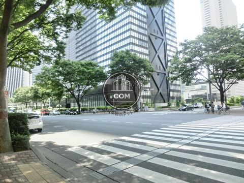 大通り