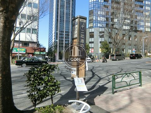 大通り