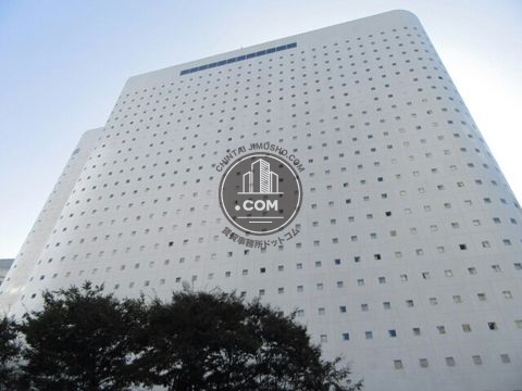 大通り