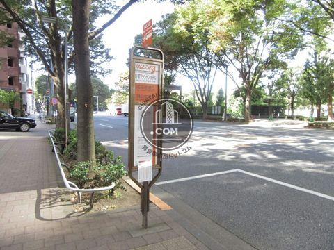大通り