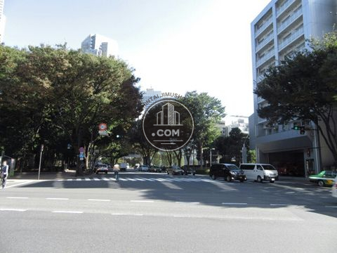 大通り