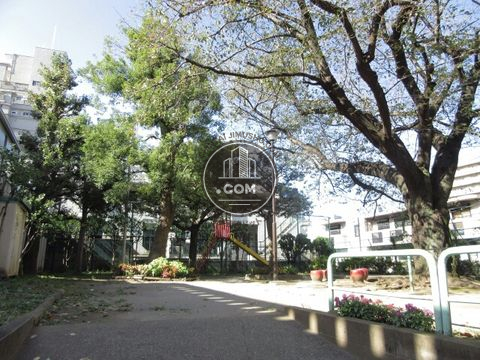 裏路地