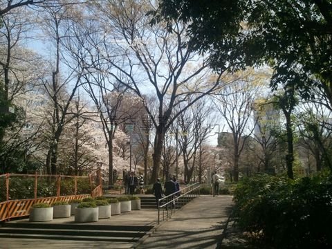 新宿中央公園