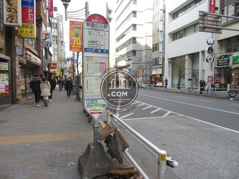 大通り