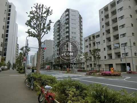 大通り