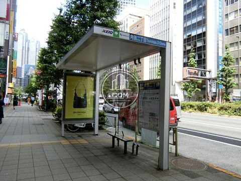 大通り