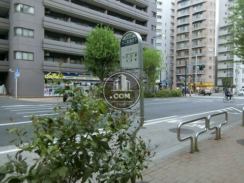 大通り