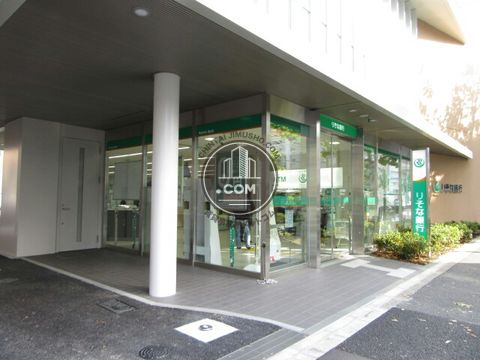 大通り