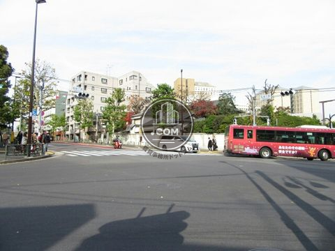 大通り