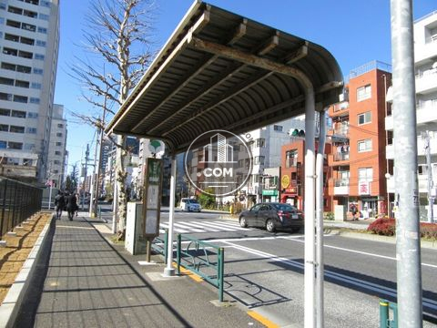 大通り