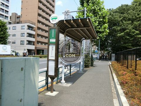 大通り