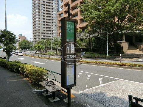 大通り
