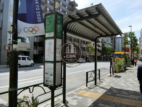 大通り