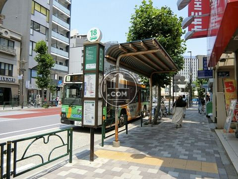 大通り