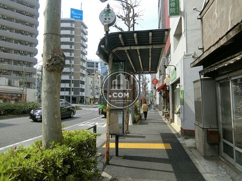 大通り