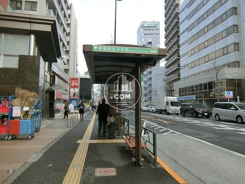 大通り