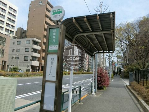 大通り