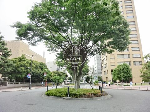 駅周辺
