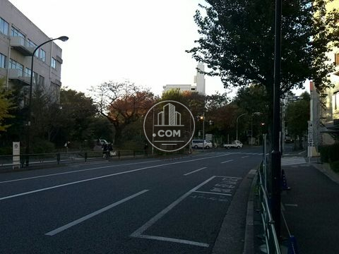 大通り