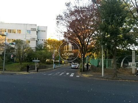 大通り