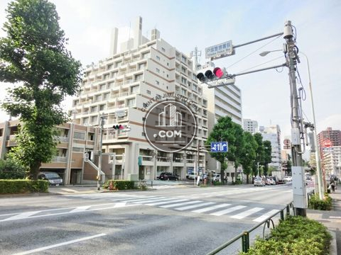 大通り
