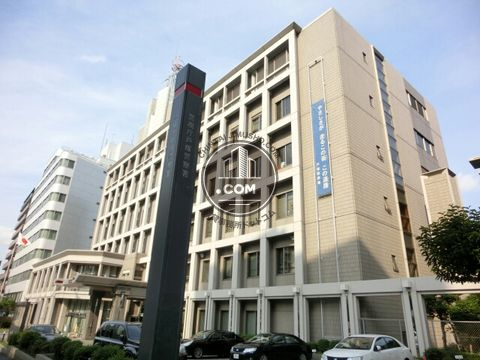 大通り