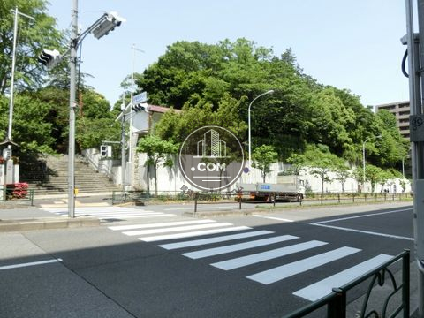 大通り