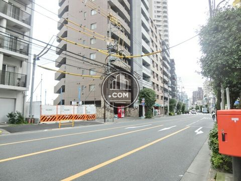 大通り