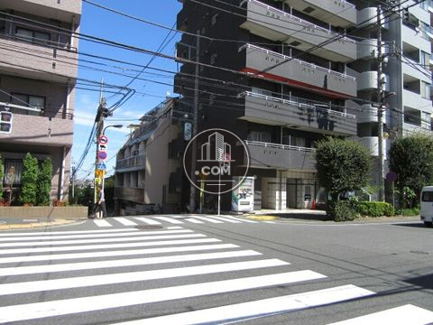 大通り
