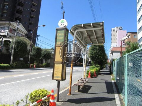 大通り