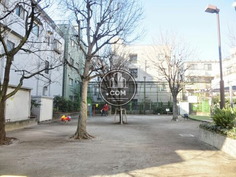 大通り