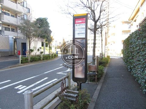 大通り