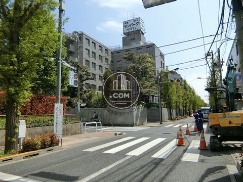 大通り