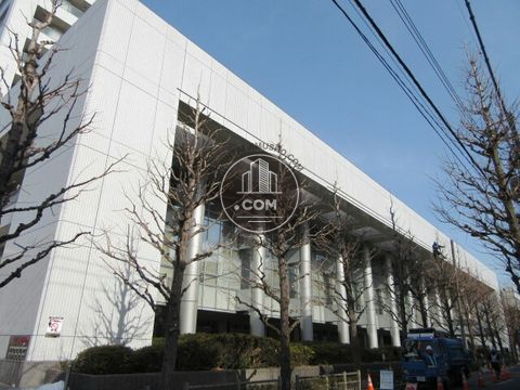 大通り