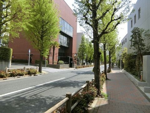 中央病院通り