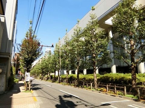 中央病院通り