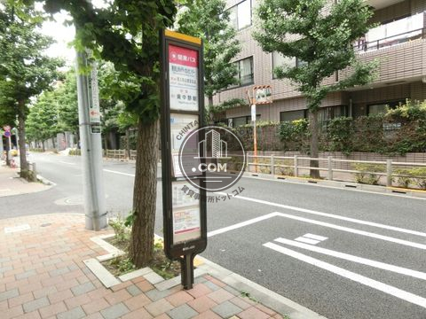 大通り