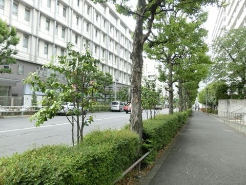小滝橋通り