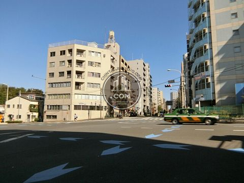 大通り